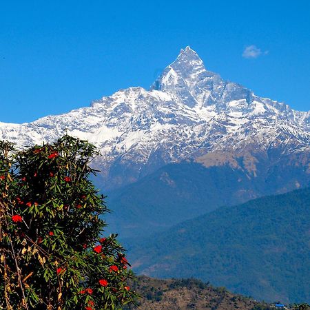 Himalayan Deurali Resort Pokhara Dış mekan fotoğraf