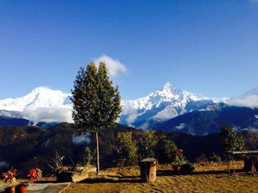 Himalayan Deurali Resort Pokhara Dış mekan fotoğraf